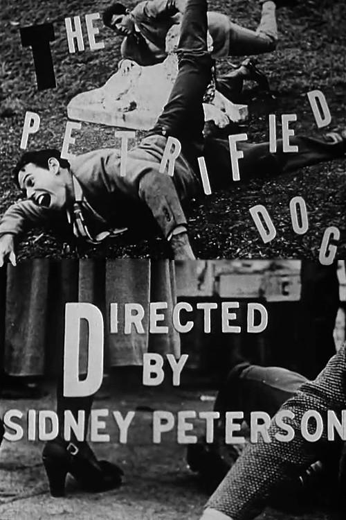 The Petrified Dog 1949 official movie poster