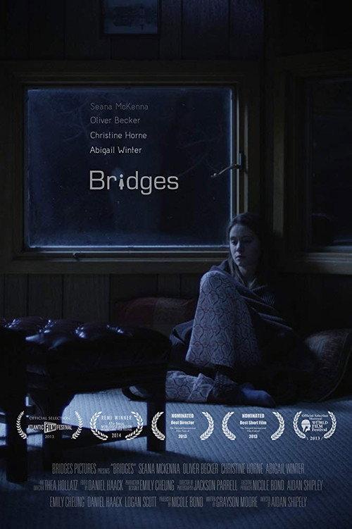 Bridges 2013 official movie poster