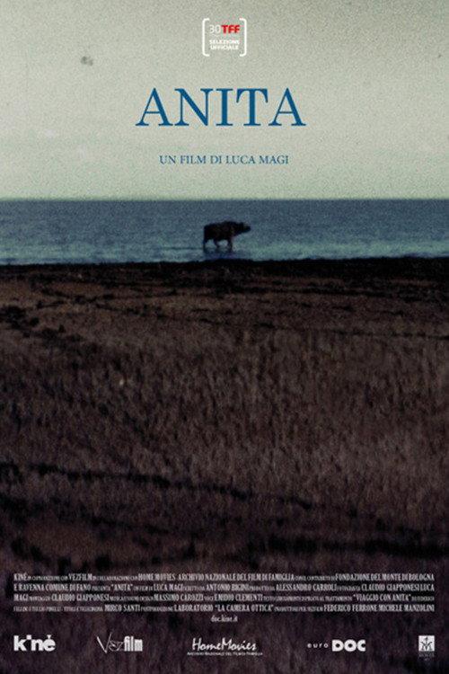 Anita 2012 official movie poster