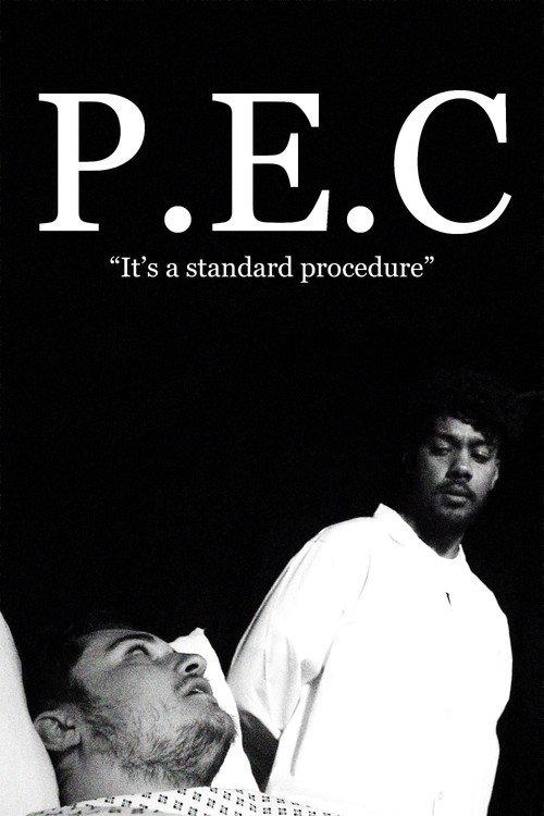 P.E.C 2024 official movie poster