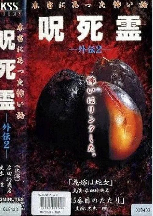 Curse. Death. Ling Gaiden 2. A scary story that really happened Cursed Spirit Gaiden 2 2000 official movie poster