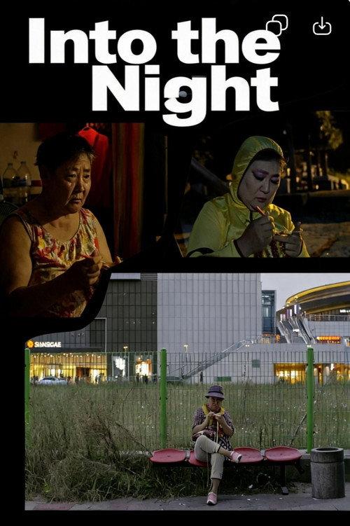 Into the Night 2014 official movie poster