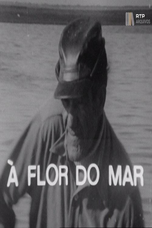 À Flor do Mar 1976 official movie poster