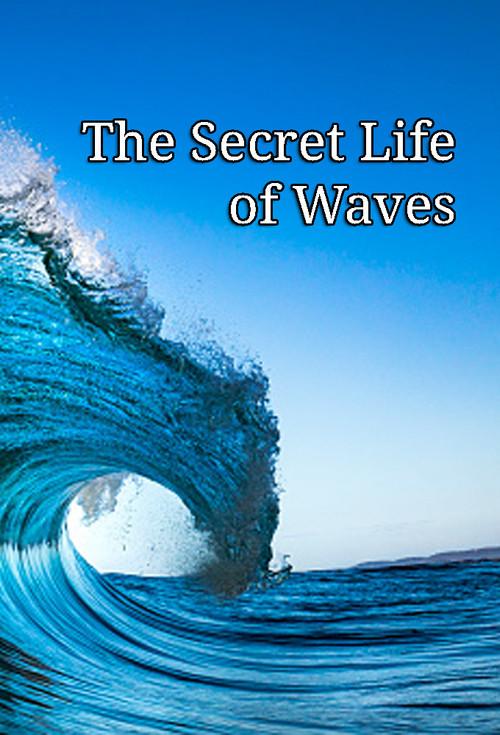 The Secret Life of Waves 2011 official movie poster