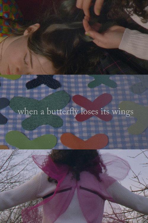 When A Butterfly Loses Its Wings 2020 official movie poster