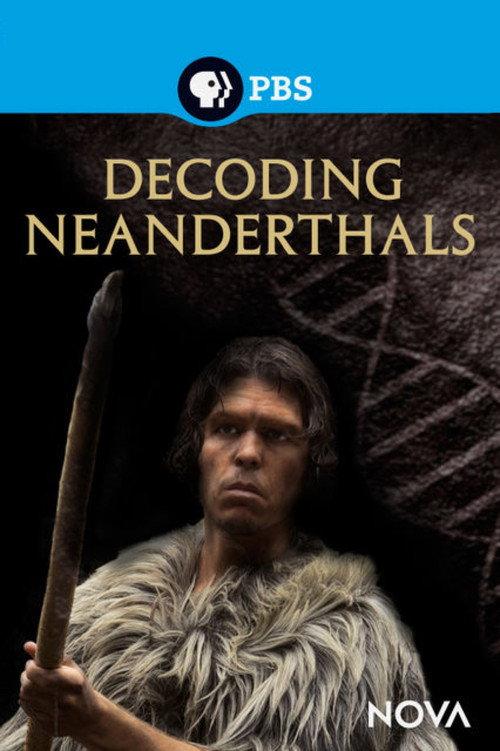 Decoding Neanderthals 2013 official movie poster