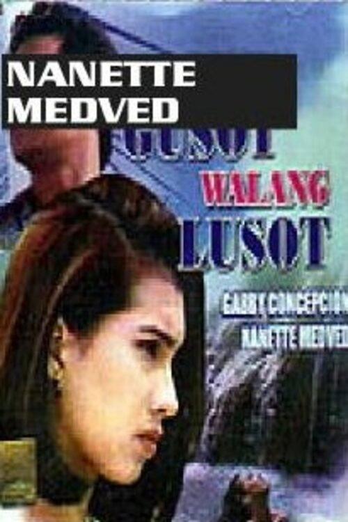 Kapag May Gusot... Walang Lusot 1993 official movie poster