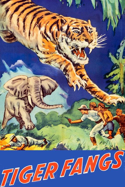 Tiger Fangs 1943 official movie poster