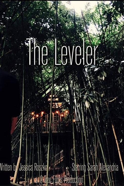 The Leveler  official movie poster