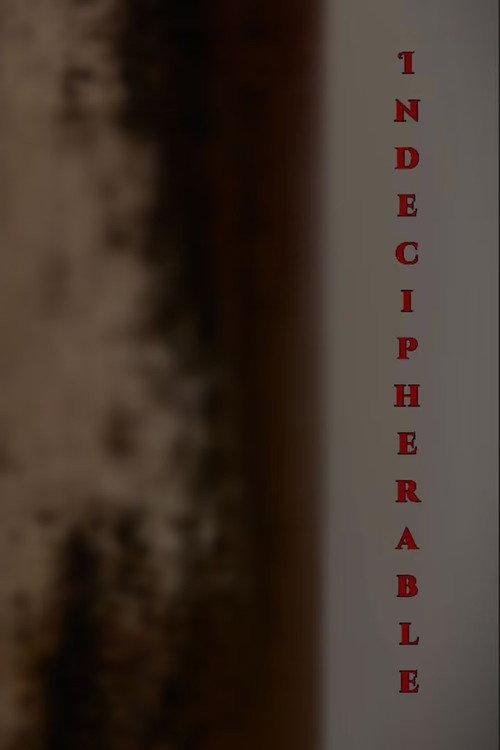 Indecipherable 2025 official movie poster