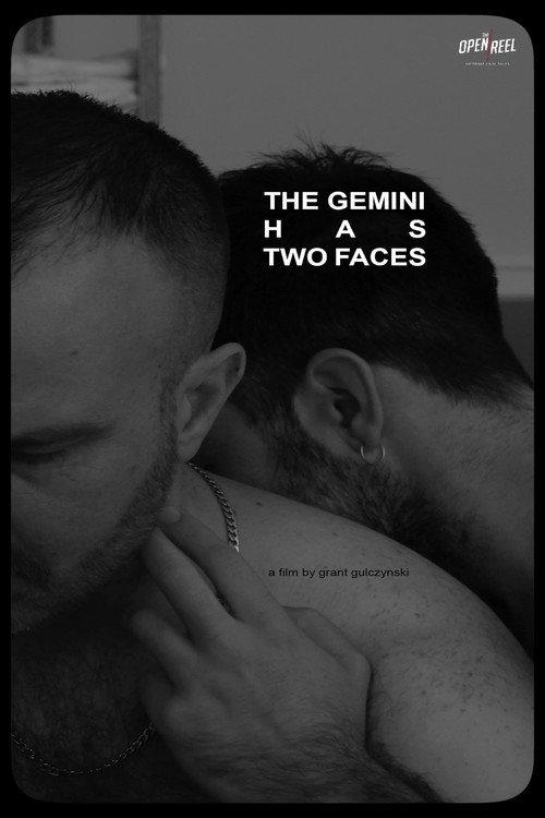 The Gemini Has Two Faces 2023 official movie poster