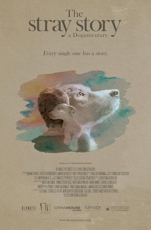 The Stray Story: A Dogumentary 2021 official movie poster