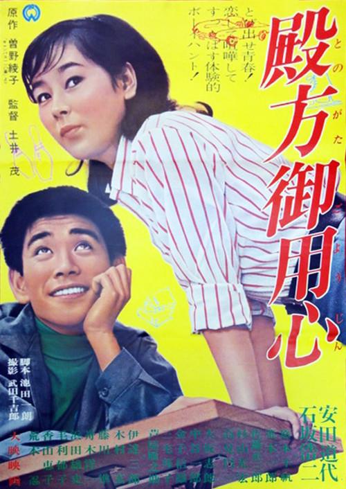 Dianas of the Campus 1966 official movie poster