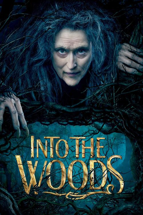 Into the Woods 2014 official movie poster