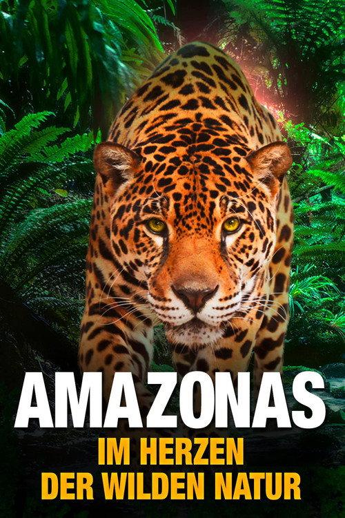 AMAZON 3D 2013 official movie poster