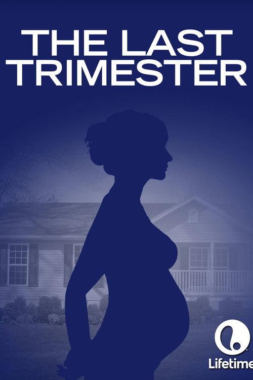 The Last Trimester 2007 official movie poster