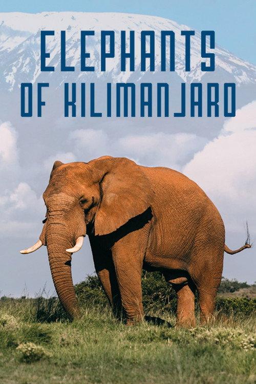Elephants of Kilimanjaro 2022 official movie poster