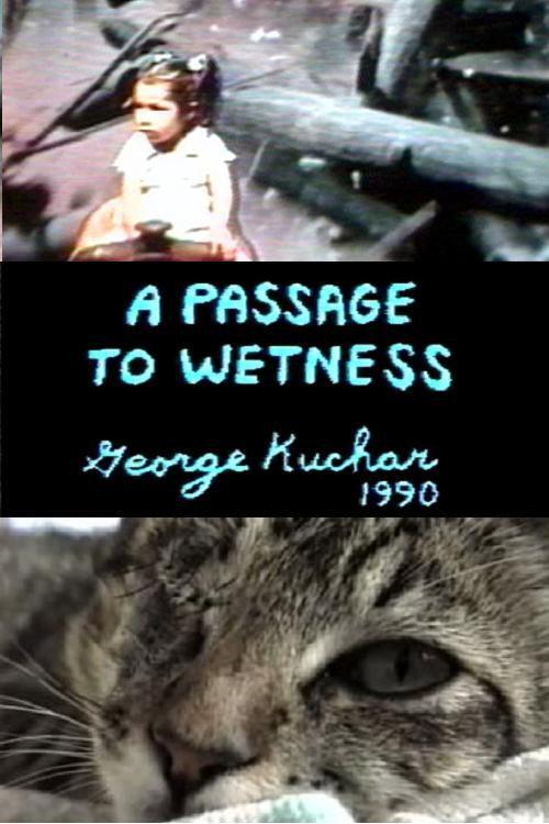 A Passage to Wetness 1990 official movie poster
