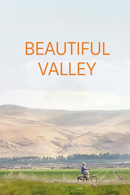 A Beautiful Valley 2011 official movie poster