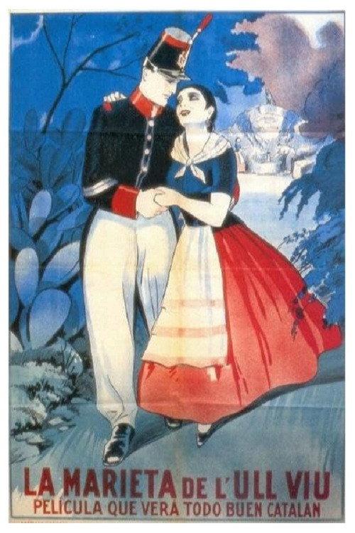 Walking Down the Fountain of the Cat 1927 official movie poster