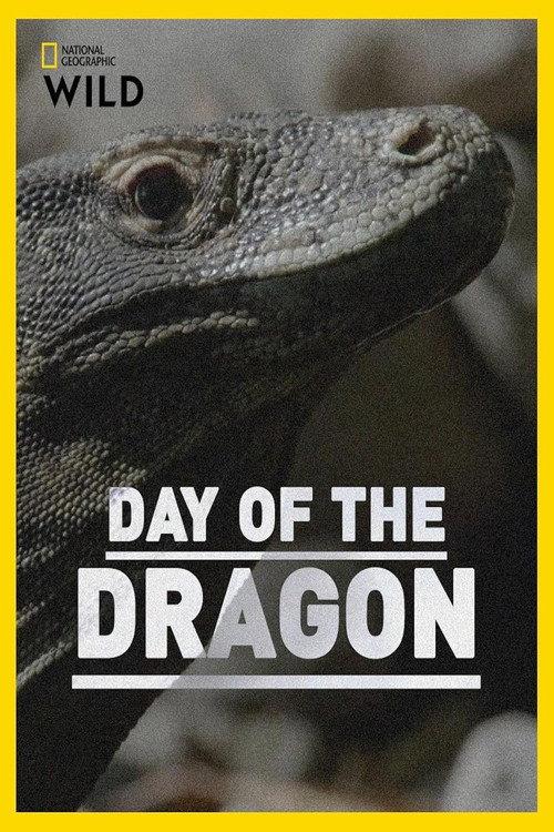 Day of the Dragon 2024 official movie poster