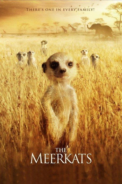 The Meerkats 2008 official movie poster