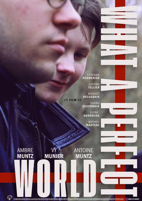 What a Perfect World 2026 official movie poster