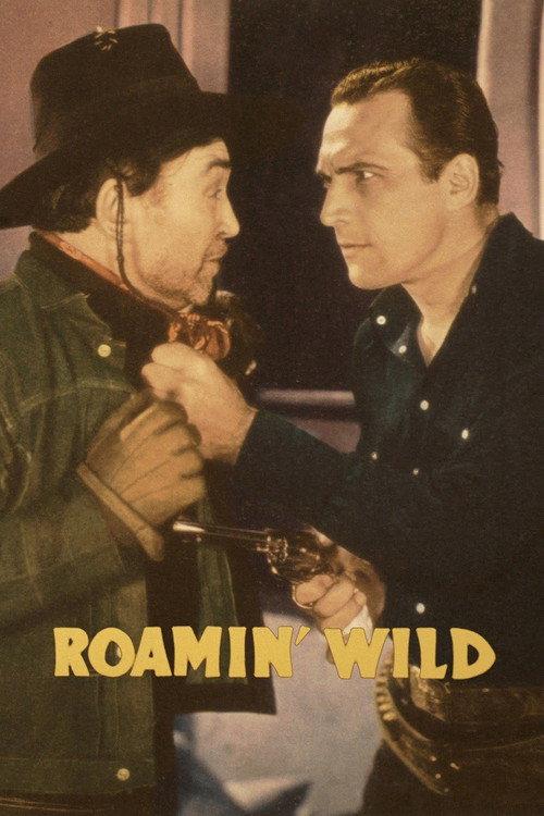 Roamin' Wild 1936 official movie poster