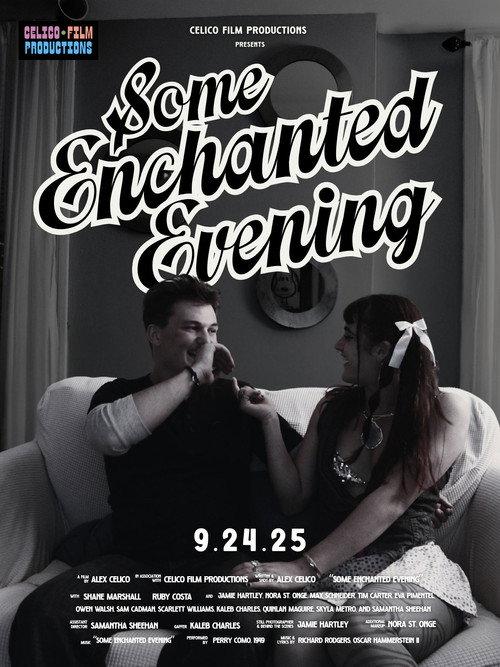 Some Enchanted Evening 2025 official movie poster