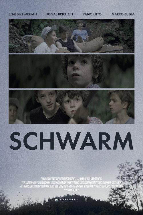 Swarm 2016 official movie poster
