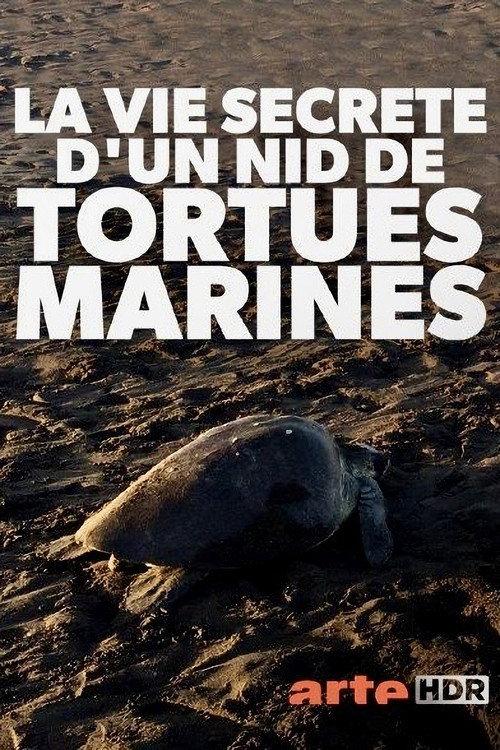 Turtle Beach 2019 official movie poster