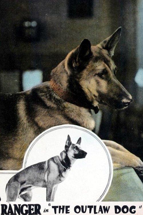 The Outlaw Dog 1927 official movie poster