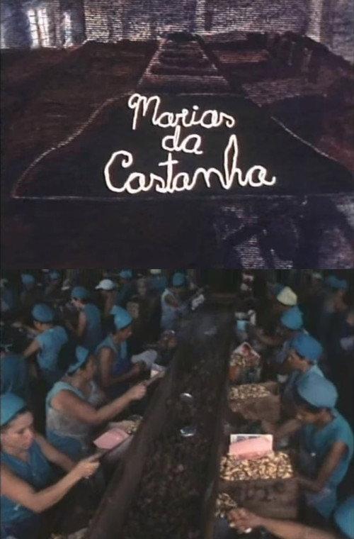 Marias da Castanha 1983 official movie poster