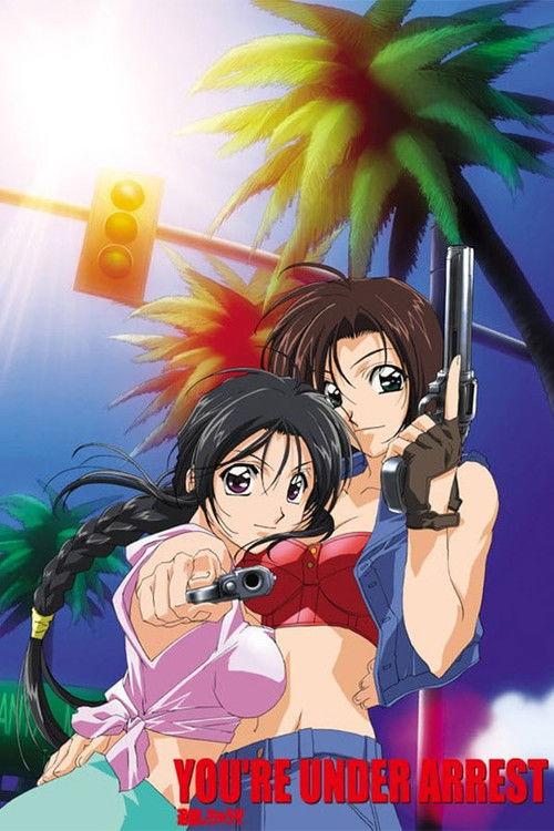 You're Under Arrest: No Mercy!! 2002 official movie poster