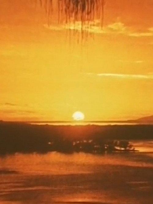 Artificial Paradise 1975 official movie poster
