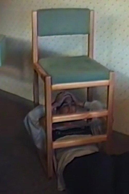 Couch of Culpability 1998 official movie poster