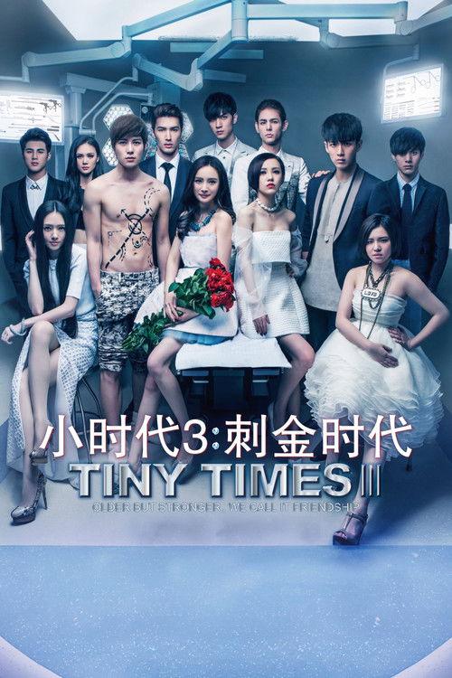 Tiny Times 3 2014 official movie poster