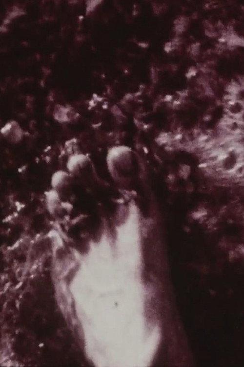 Footprints 1992 official movie poster