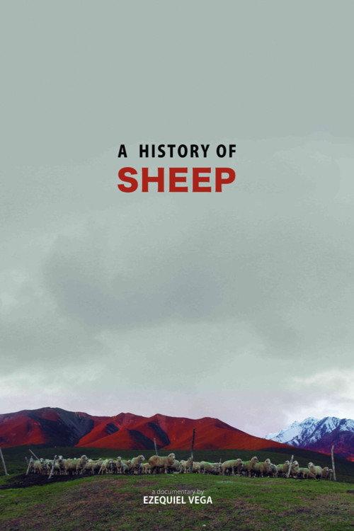 A History Of Sheep 2016 official movie poster