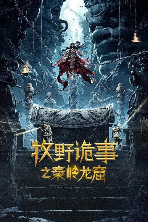 Mystery of Muye: Qinling Dragon Grottoes 2020 official movie poster