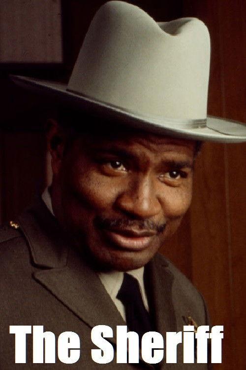 The Sheriff 1971 official movie poster