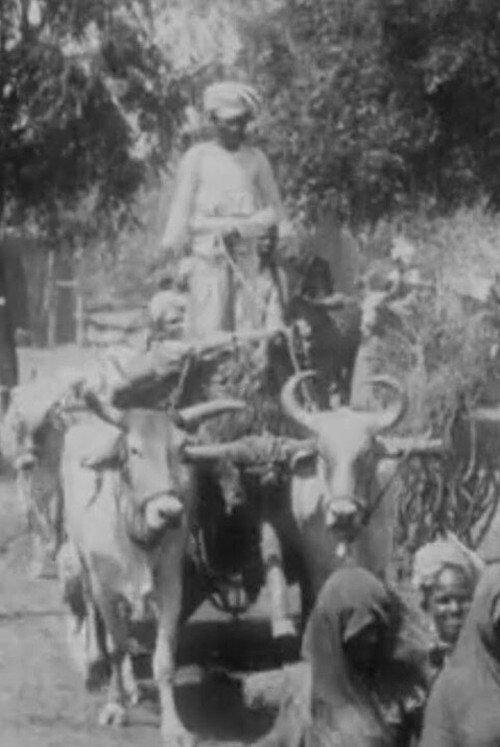 Salvation Army Parade in Indian Village No.2 1904 official movie poster