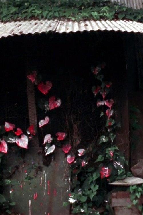 Shelter 1980 official movie poster