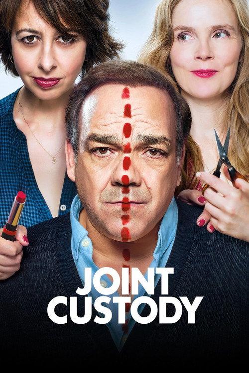 Joint Custody 2017 official movie poster