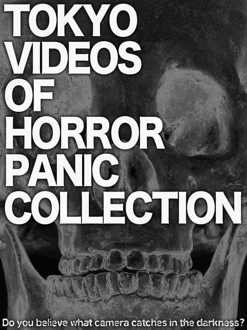 Tokyo Videos of Horror Panic Collection 2014 official movie poster