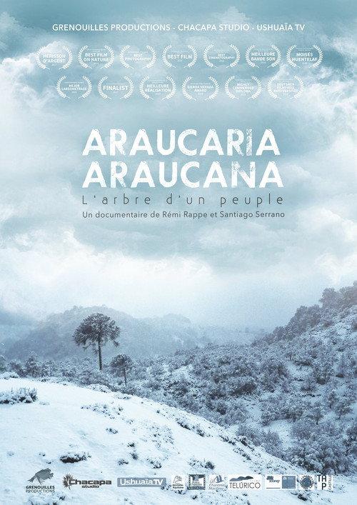 Araucaria Araucana 2018 official movie poster