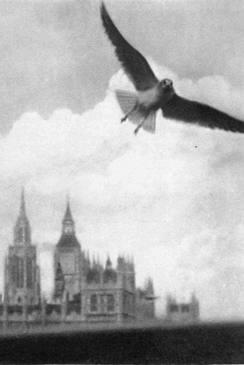 London Visitors 1936 official movie poster
