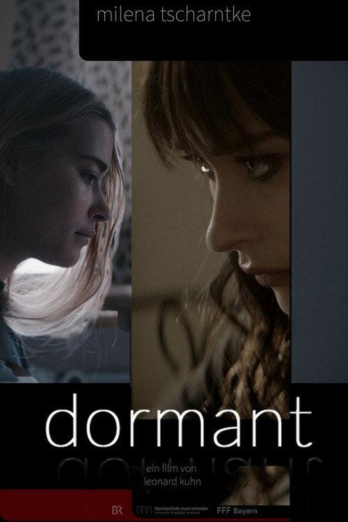 Dormant 2023 official movie poster