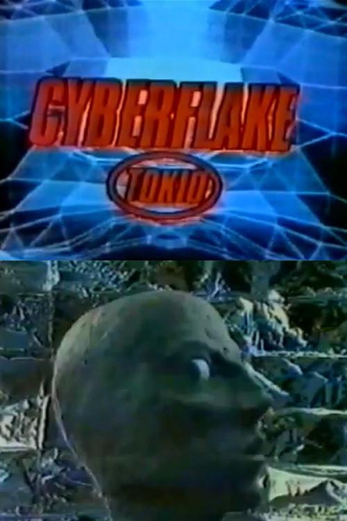 Cyberflake 1995 official movie poster