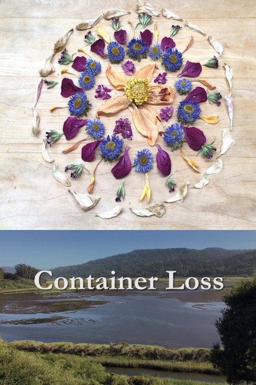 Container Loss 2022 official movie poster